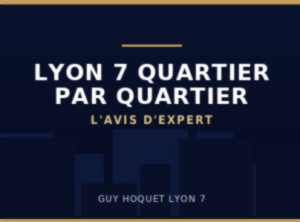 Lyon 7 en 25 ans : ce qui a changé, rue par rue