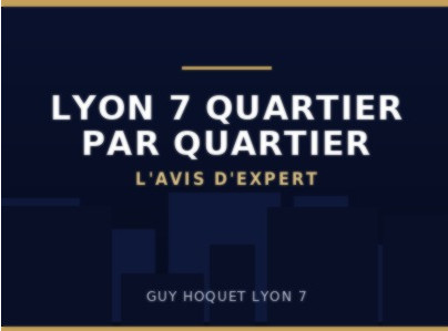 Lyon 7 en 25 ans : ce qui a changé, rue par rue